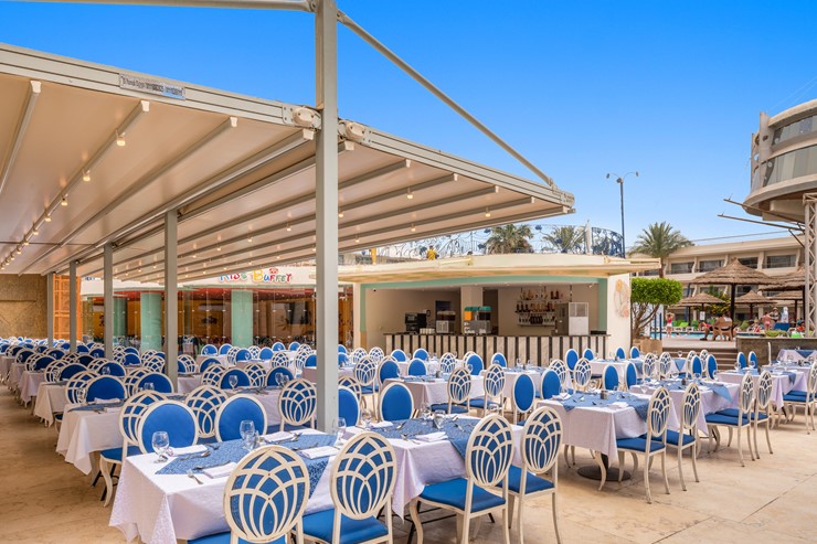 /photos/gallery/Cleopatra Restaurant 6_19709_lg.jpg
